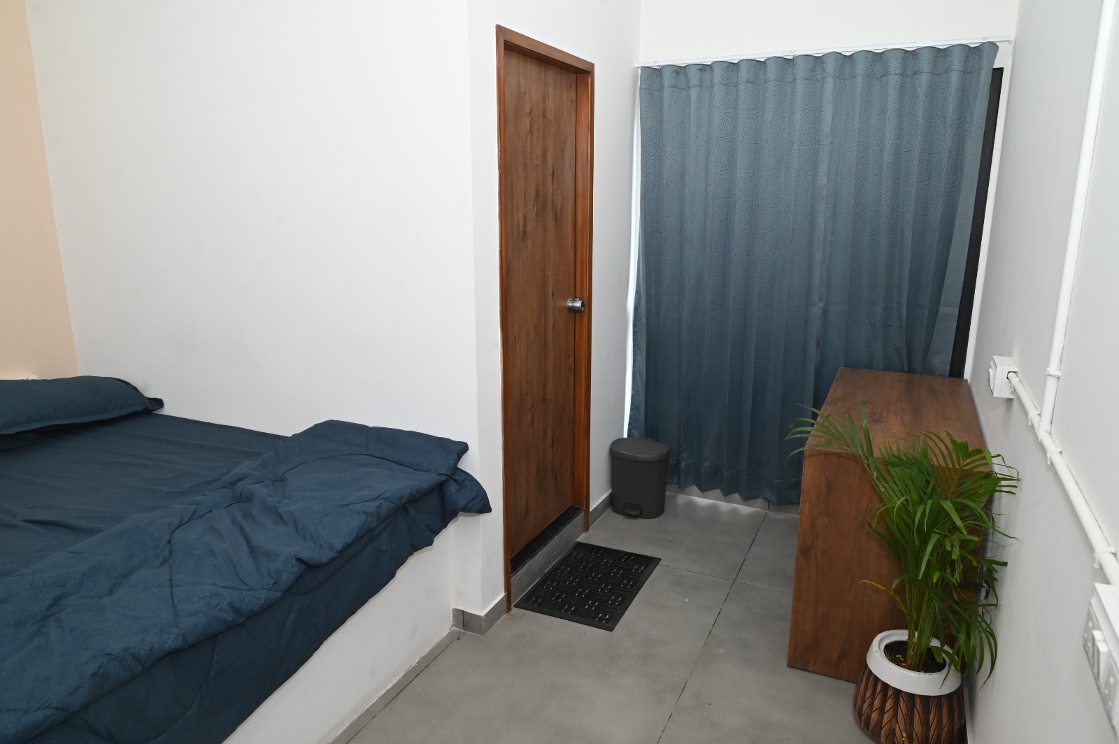 Nest Studio (Phase 5)